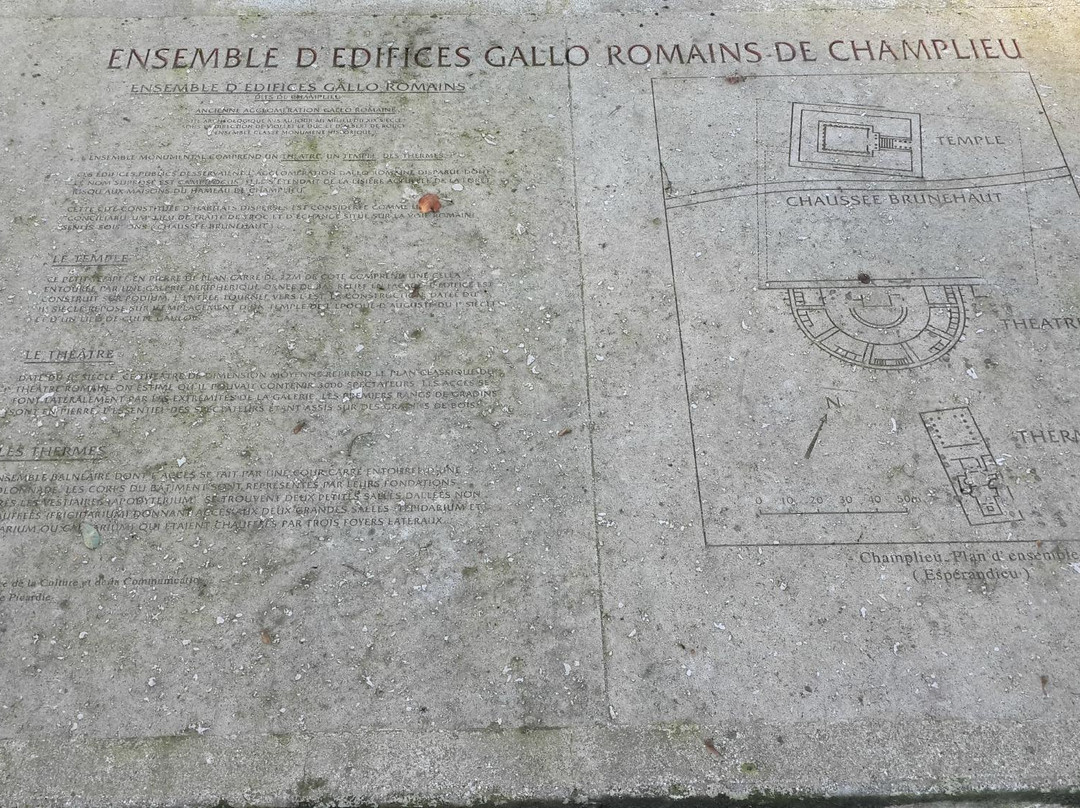 Ruines Gallo-Romaines de Champlieu景点图片
