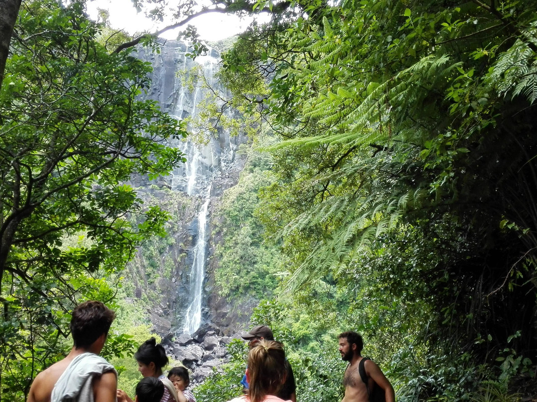 Wairere Falls-Okauia必去景点