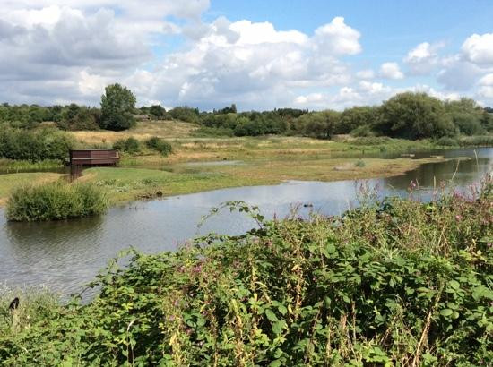 RSPB Sandwell Valley景点图片
