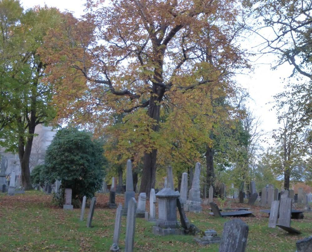 Camp Hill Cemetery-哈利法克斯必去景点