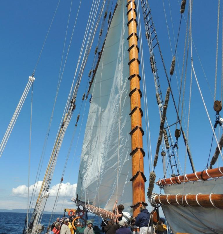 Schooner Zodiac - Day Cruise景点图片