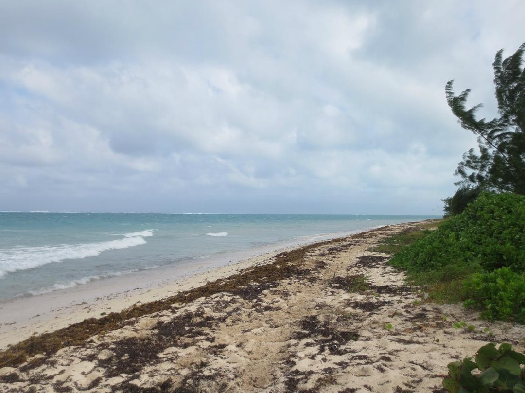 Barker's National Park-西湾必去景点