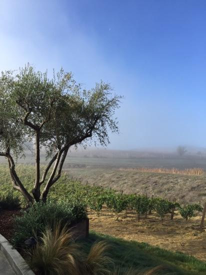 Fontanella Family Winery-纳帕必去景点