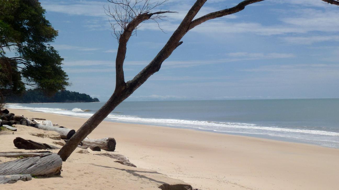 Pongara Lodge-客卧