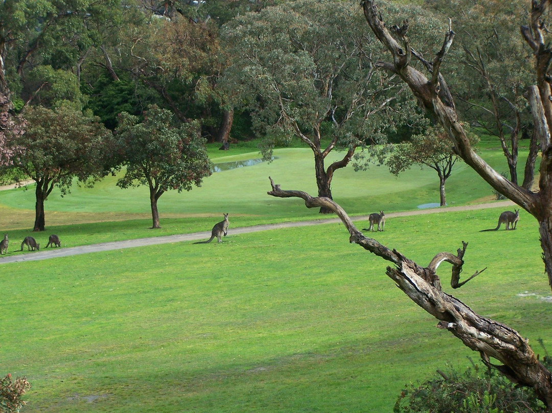 Rosebud Park Golf Course景点图片