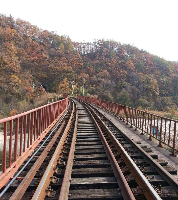 Seoul N Tour - Day Tours景点图片