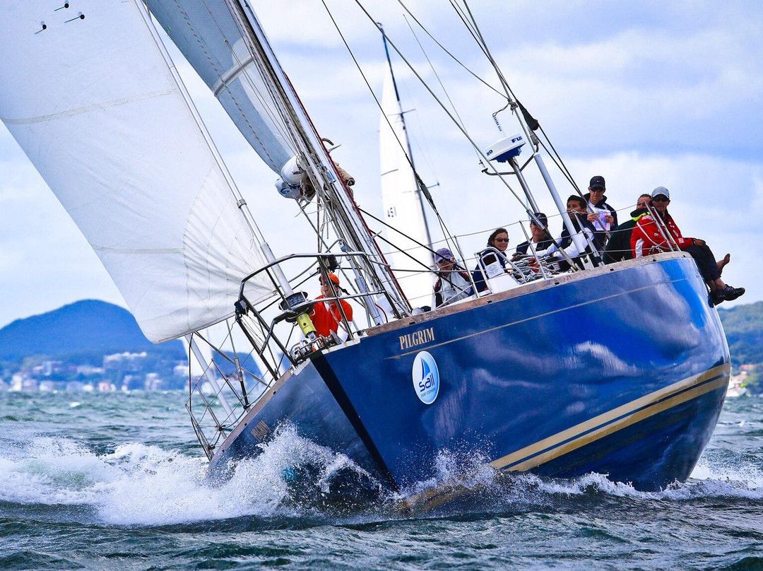 Pilgrim Sailing-悉尼必去景点