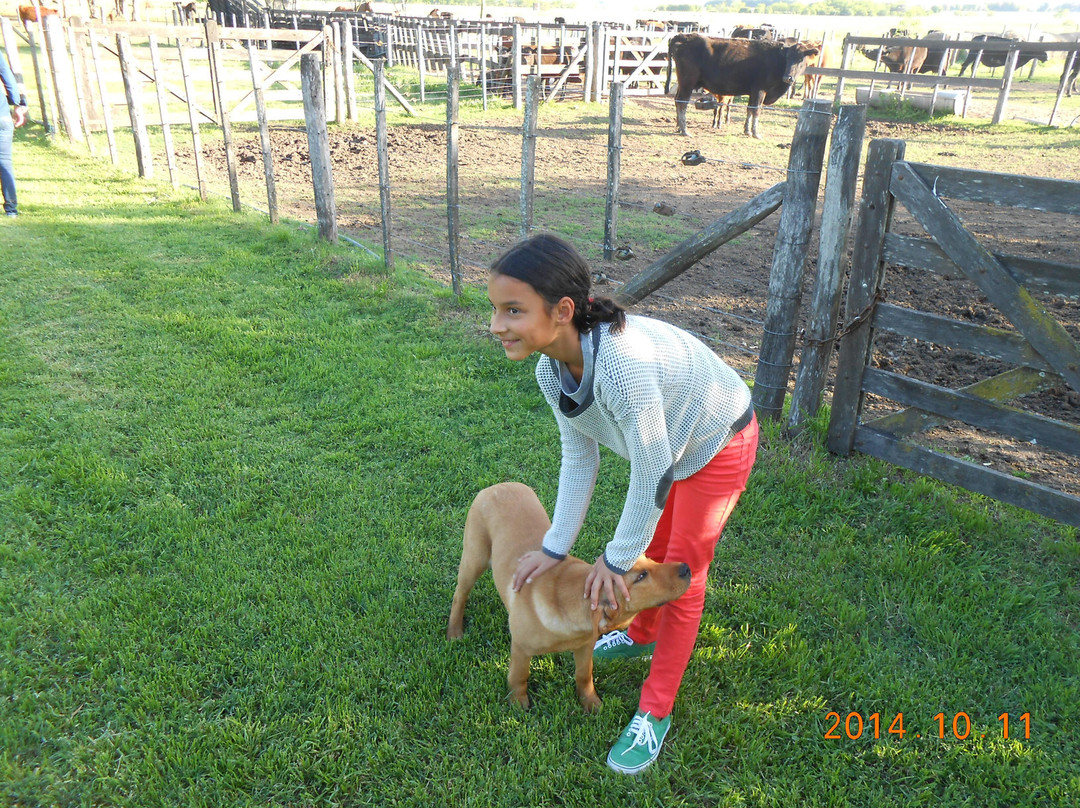 Private Concierge Buenos Aires- Day Trip-布宜诺斯艾利斯必去景点