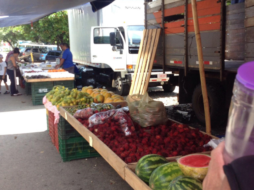 Farmers Fair (Ferias del Agricultor)景点图片