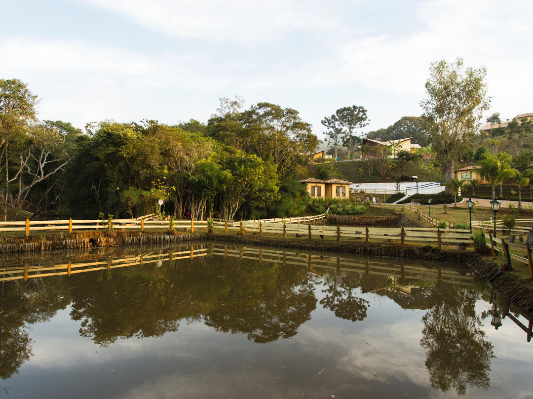 Sao Lourenco餐馆和美食-Restaurante do Chico