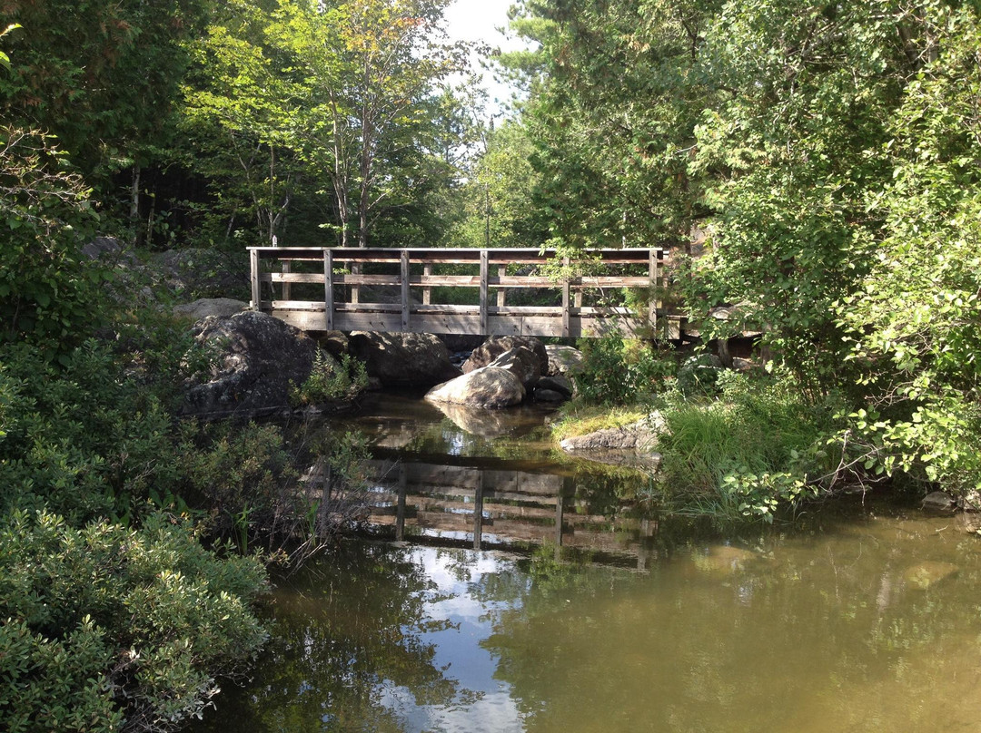 Bass Lake Trail-伊利必去景点