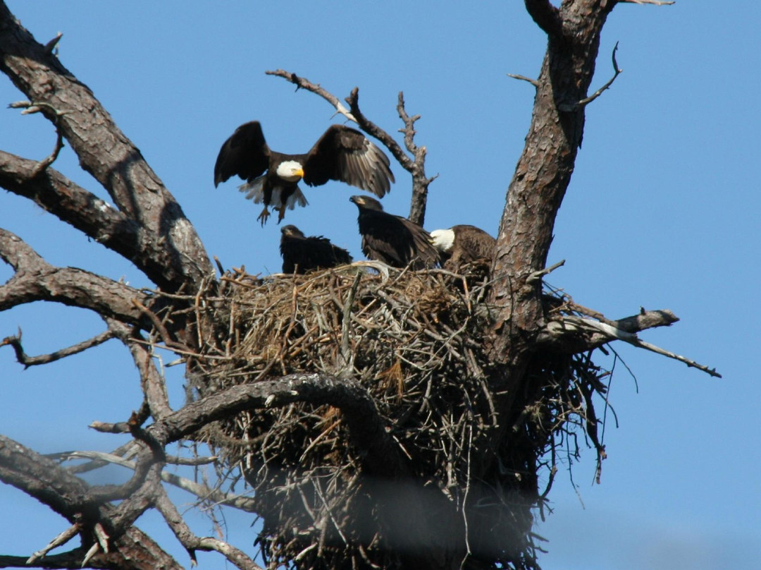 Sun Line Cruises-塔彭斯普林斯必去景点