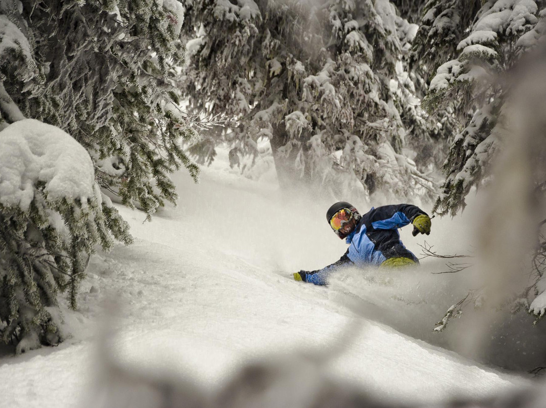 Revelstoke Mountain Resort景点图片