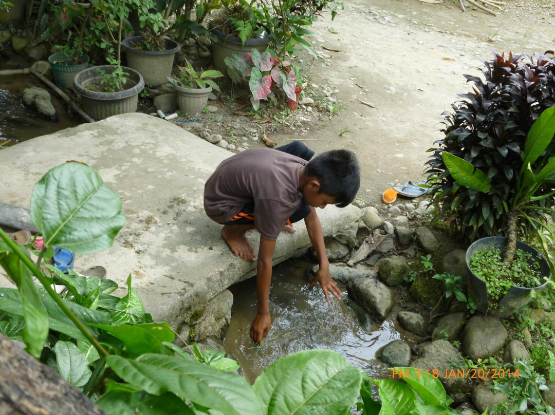 Wanda's Homestay主图