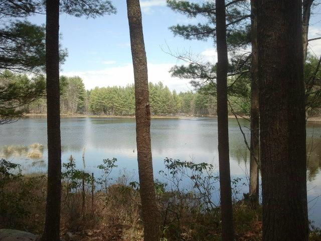Beaver Brook Reservation景点图片