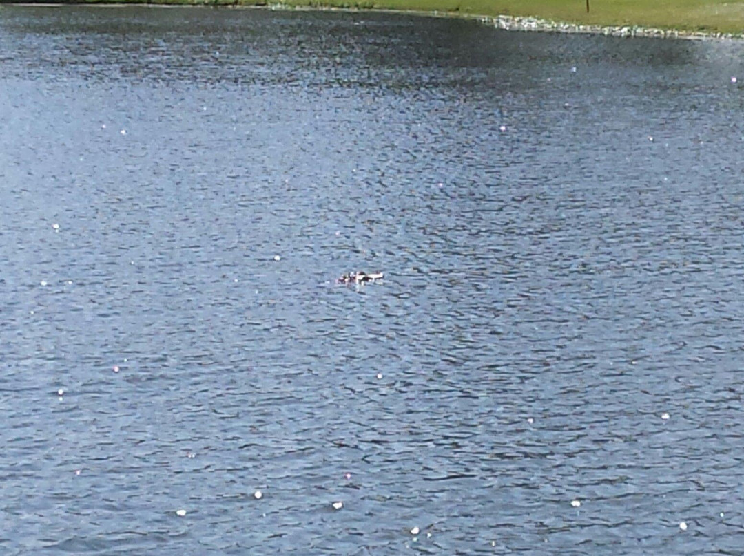 The Legends at Parris Island-Parris Island必去景点