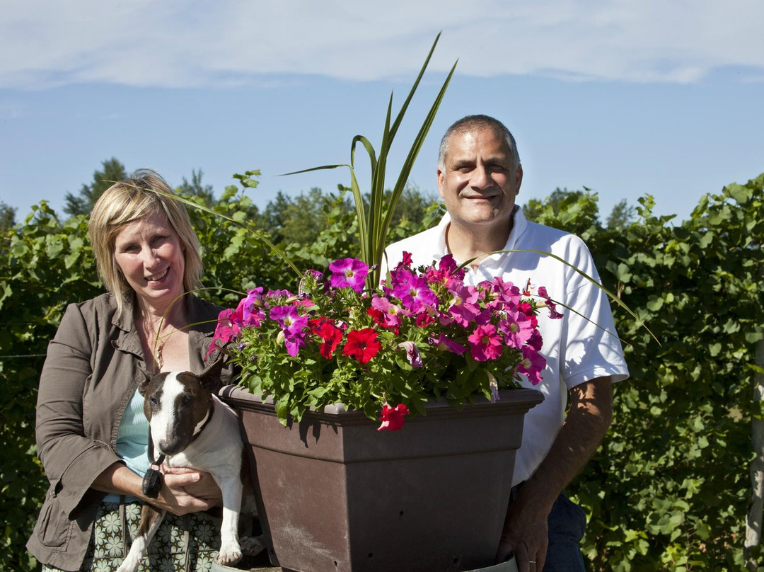 Evanston Cellars -  Wine Trail Tours-芝加哥必去景点