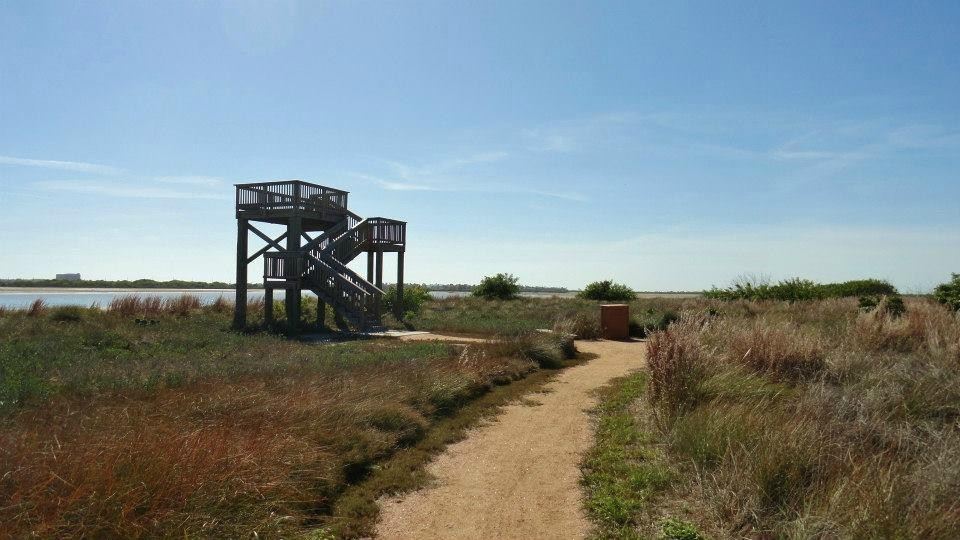 Port Aransas Nature Preserve at Charlie's Pasture-阿兰瑟斯港必去景点