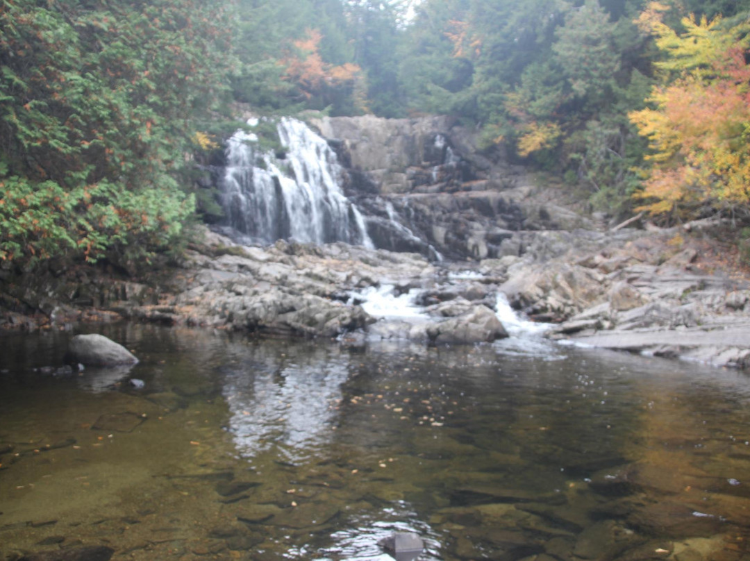 Houston Brook Falls景点图片