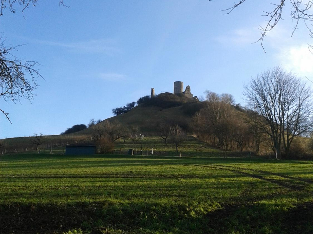 Burg Desenberg-Warburg必去景点