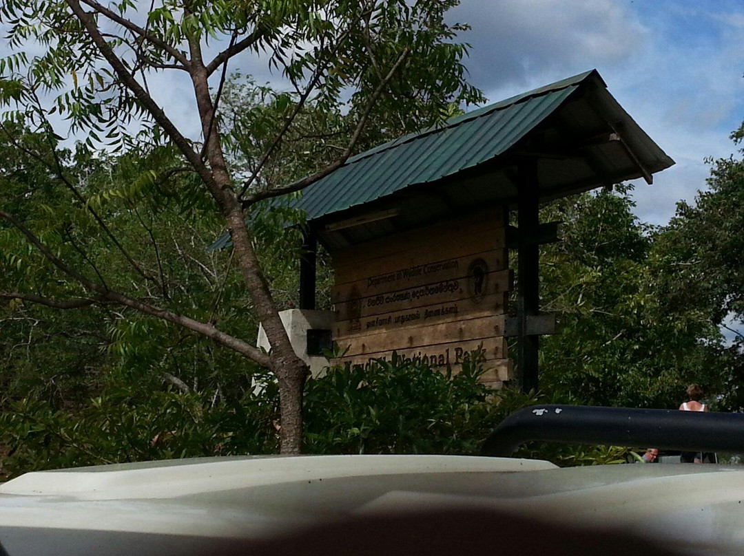Kaudulla National Park景点图片