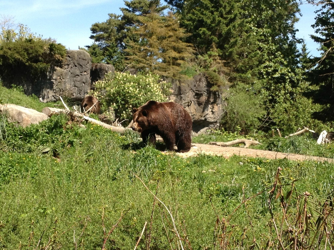 林地公园动物园-西雅图必去景点