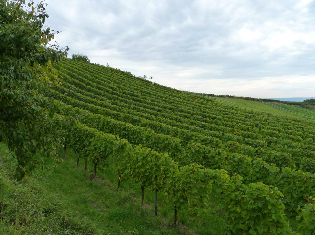 Hotel Kühns Mühle主图