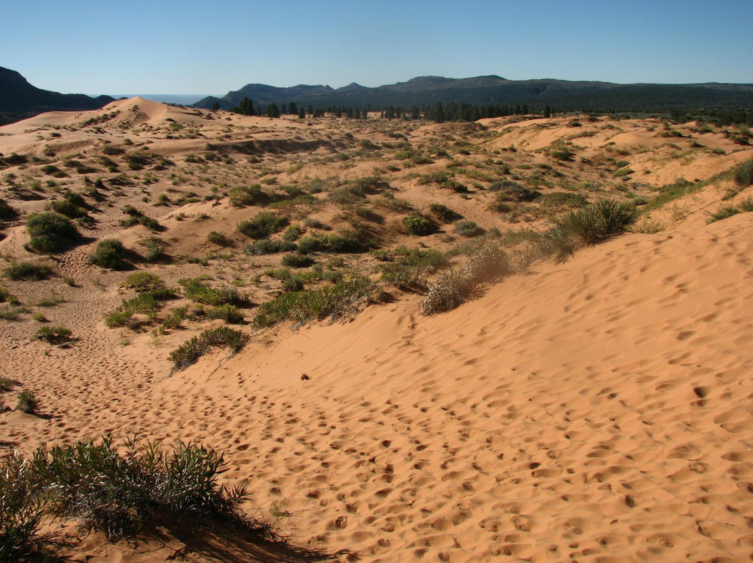 Coral Pink Sand Dunes State Park-卡纳布必去景点