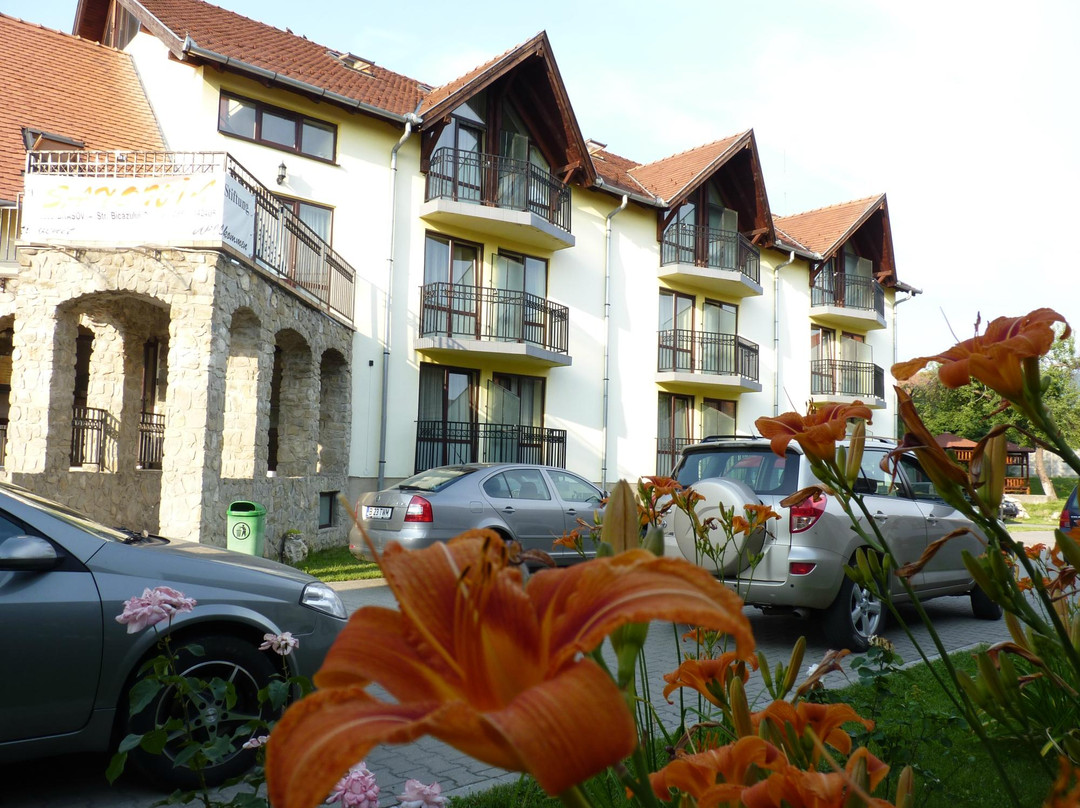 Pensiunea Casa Saxonia