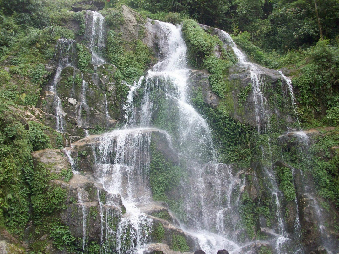 Banjhakri Water Falls景点图片