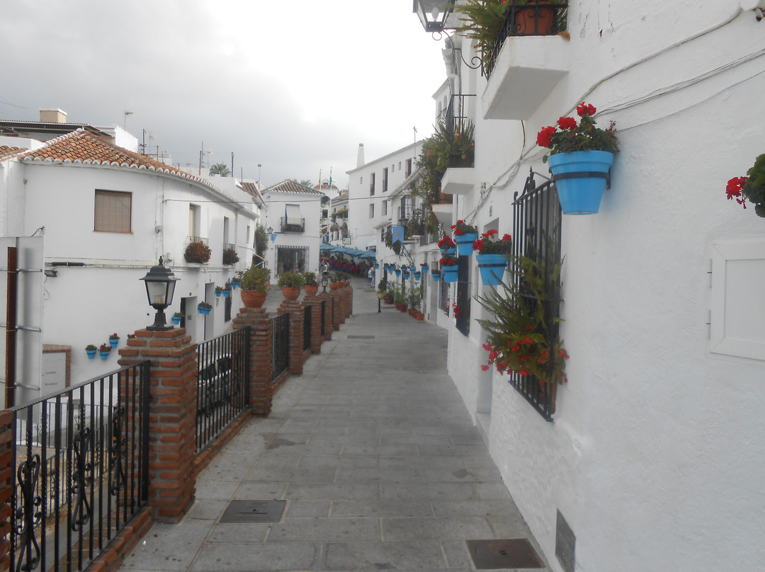 Plaza de la Constitución景点图片