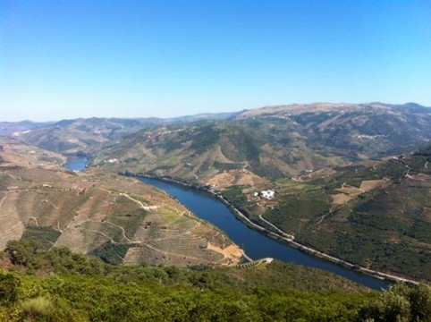Douro Exclusive-波尔图必去景点