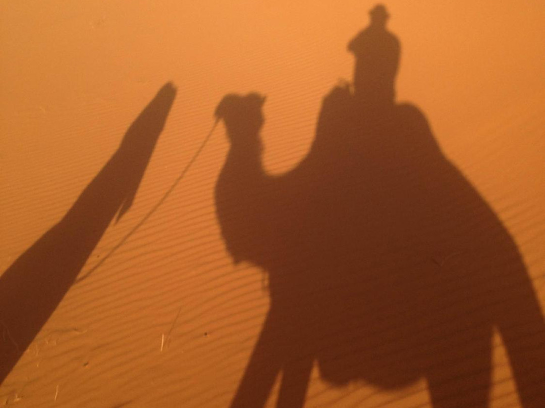 Sahara 4x4 viajes - Day Tours-瓦尔扎扎特必去景点