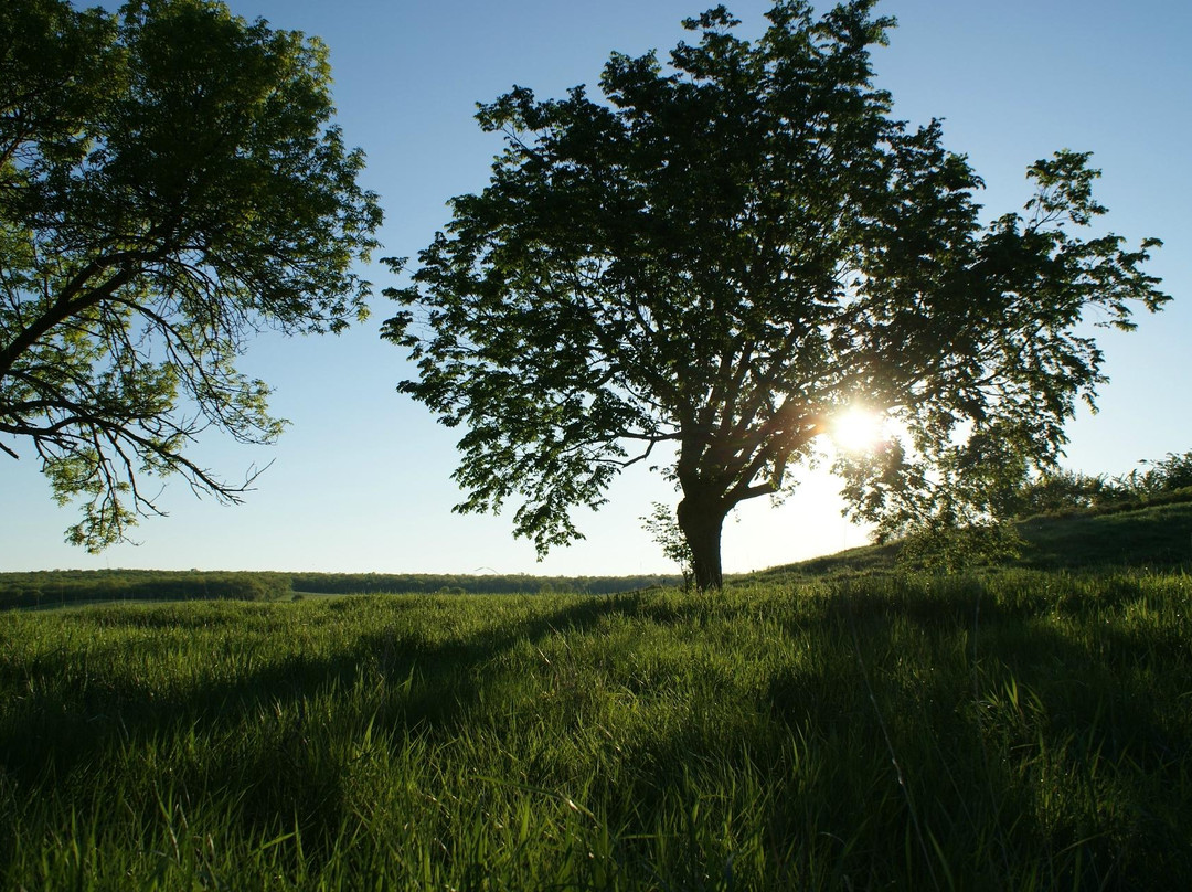 Grahams Island State Park-Devils Lake必去景点