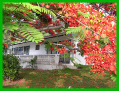 Erindell Villa Guest House主图