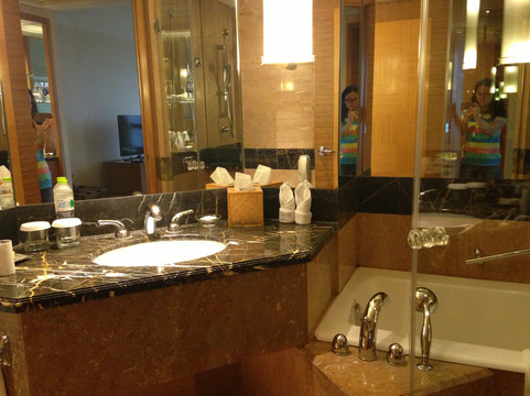 重庆希尔顿酒店主图