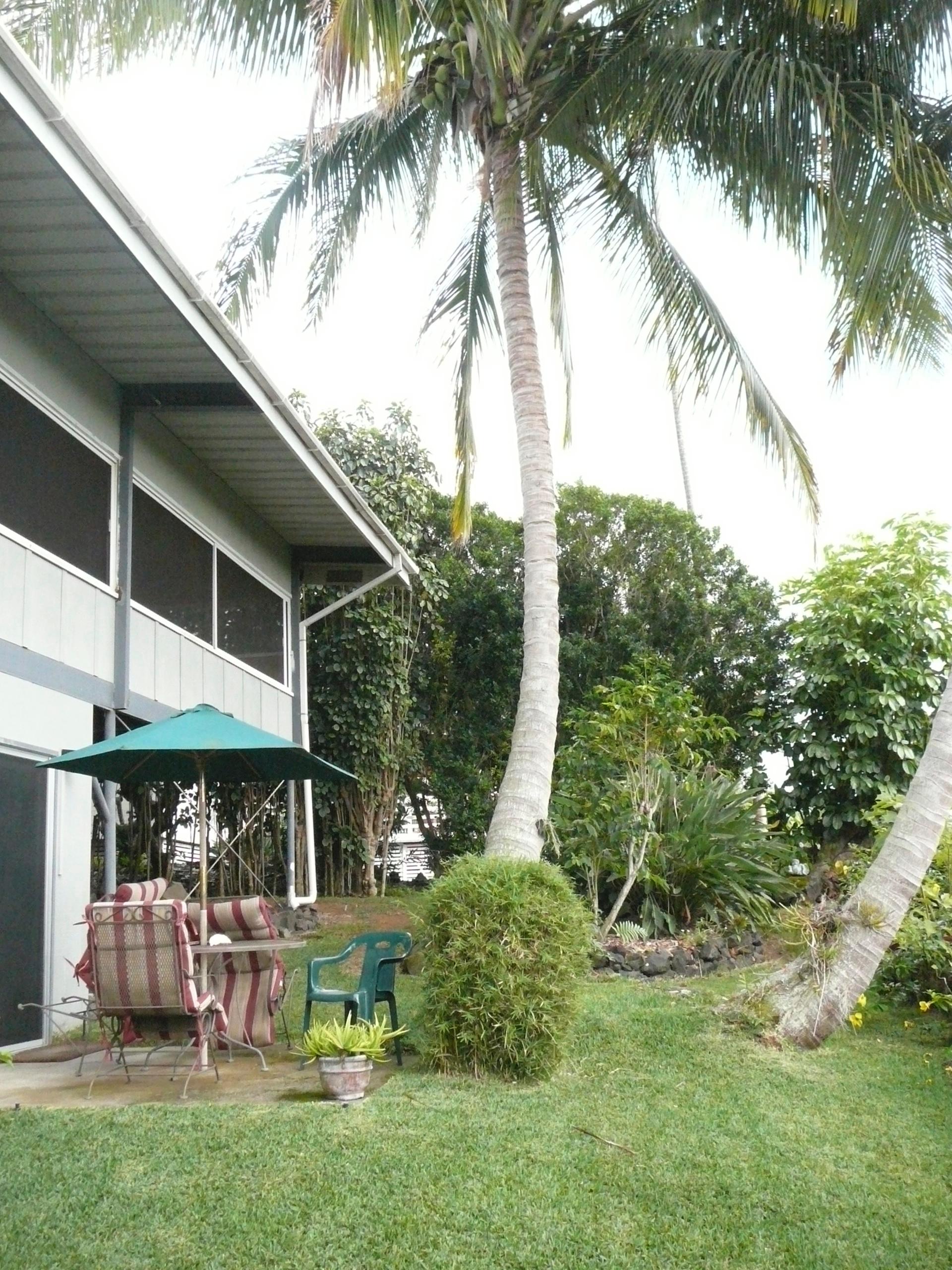 Da Third House B&B-酒店景观