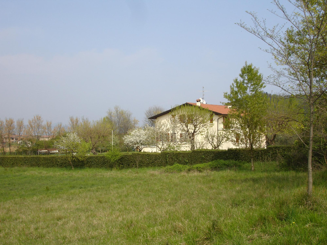 Ochine del Basso Lago主图