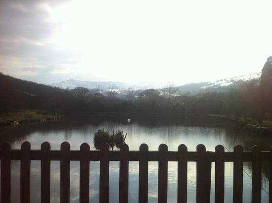 Conwy Water Gardens景点图片