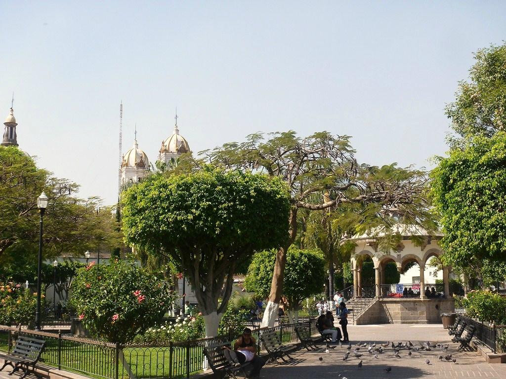 Jardín Hidalgo景点图片