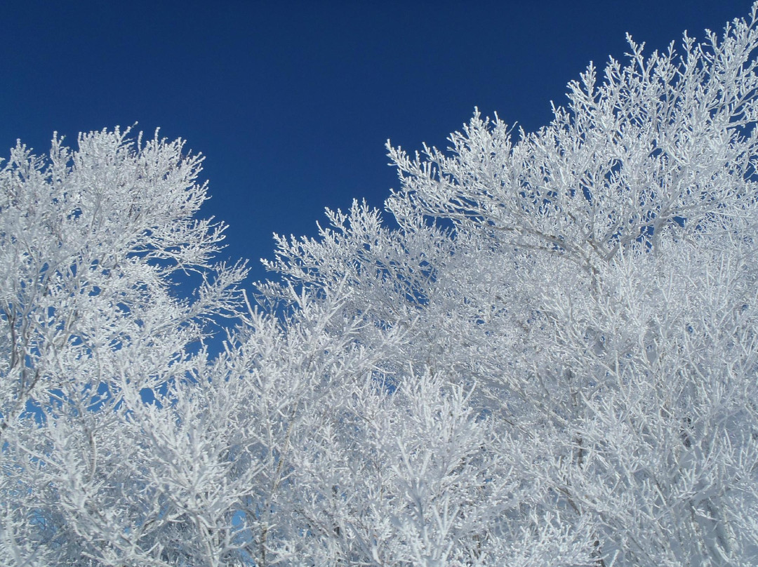 Shichikasyuku Ski Areas-七宿町必去景点