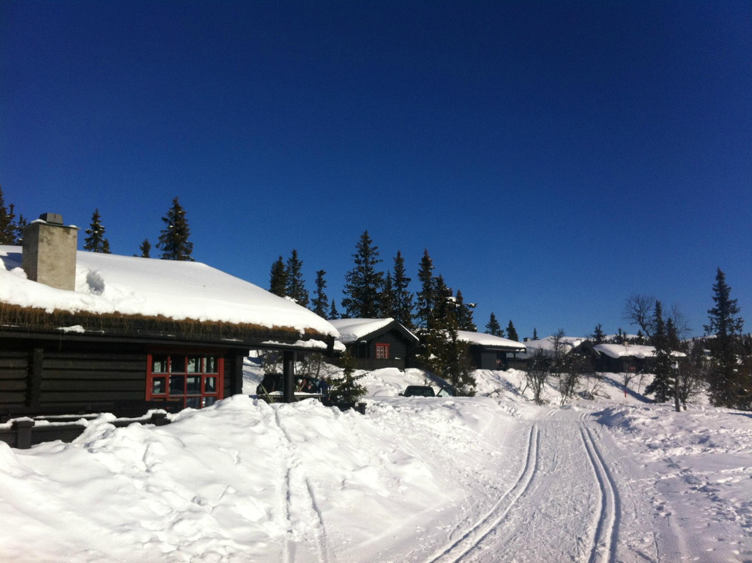 Aurdal Fjellpark Valdres