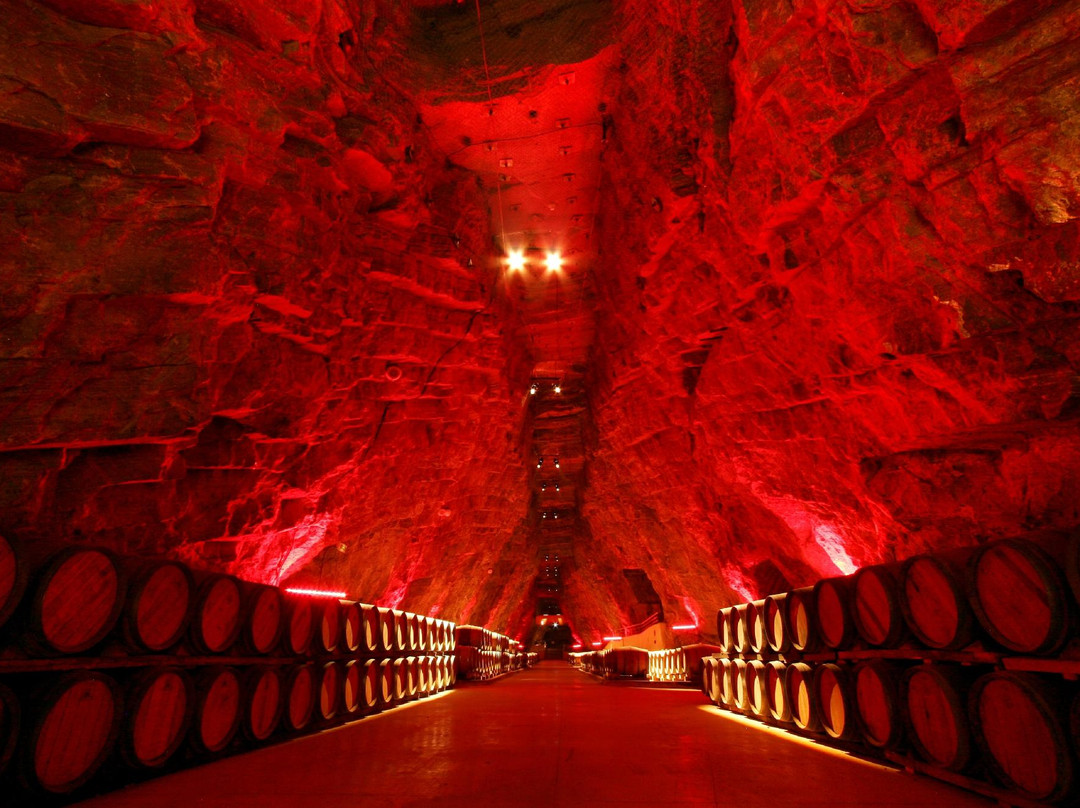 Terra Vinéa景点图片