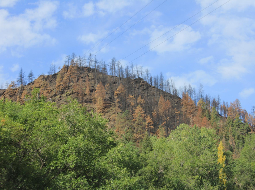 Cache La Poudre Wilderness-Livermore必去景点