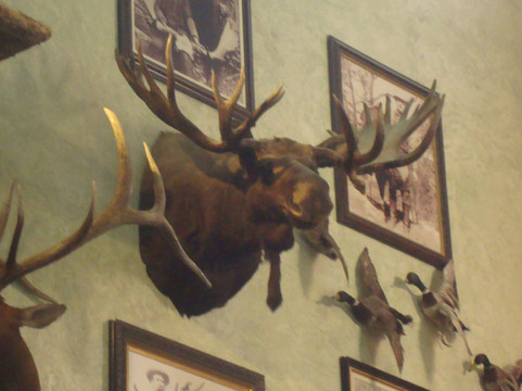 低音乐器专卖店-拉斯维加斯必去景点