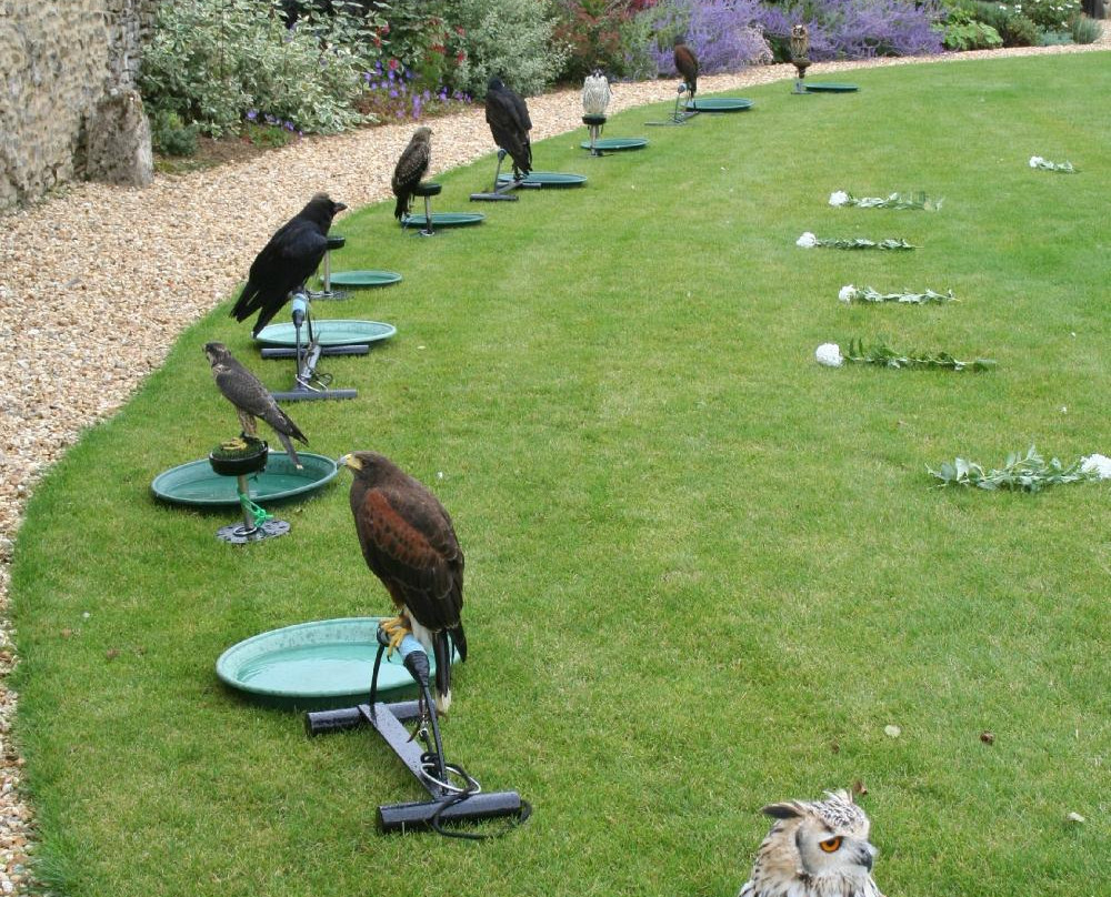 Fallowfields Falconry-Longworth必去景点