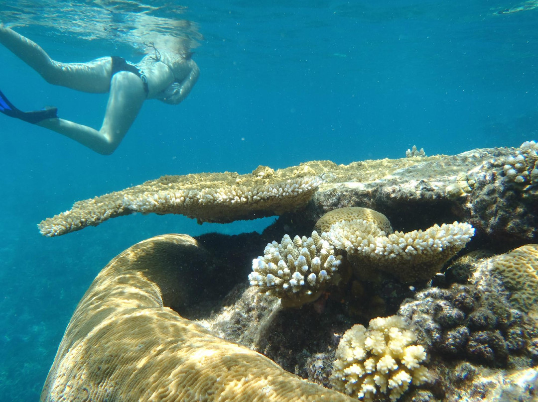 Hakau Adventures Day Cruises-Neiafu必去景点