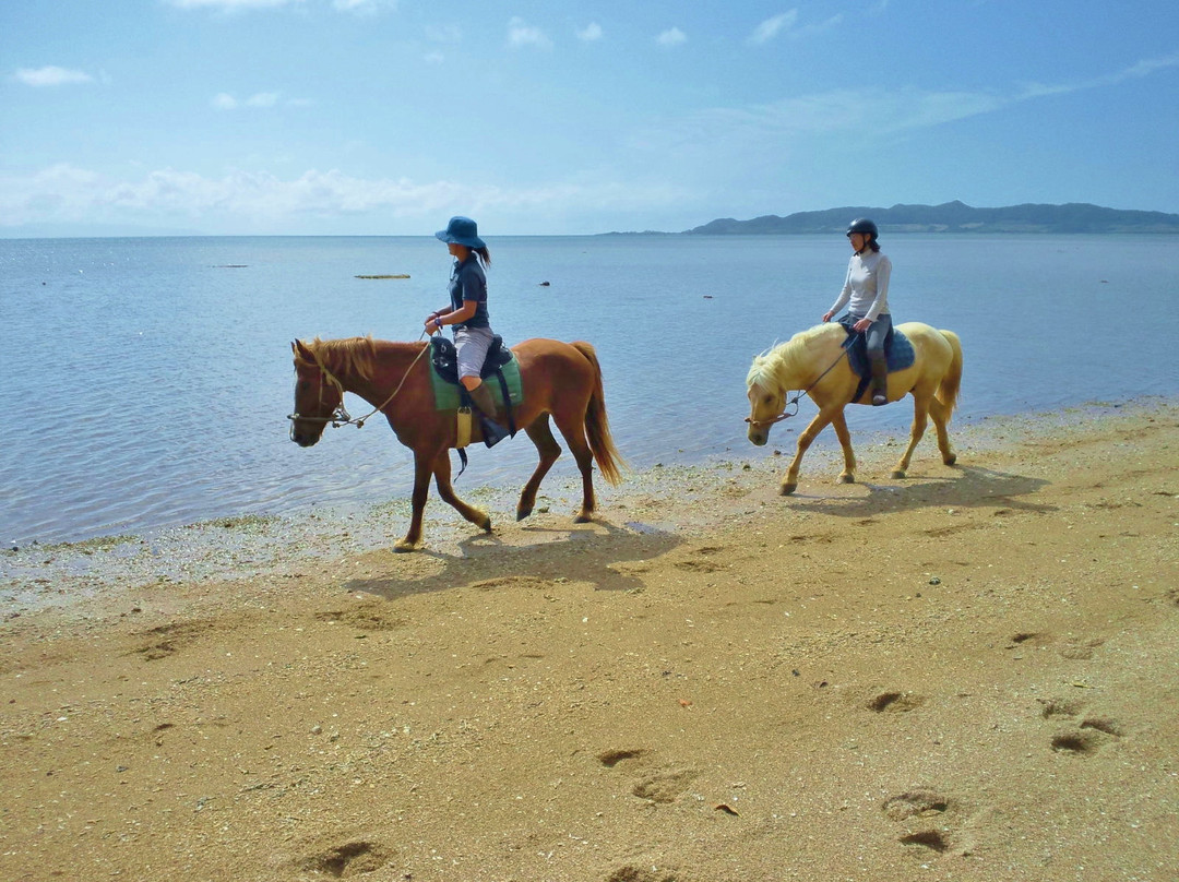 Horse Riding Spot Naminma景点图片