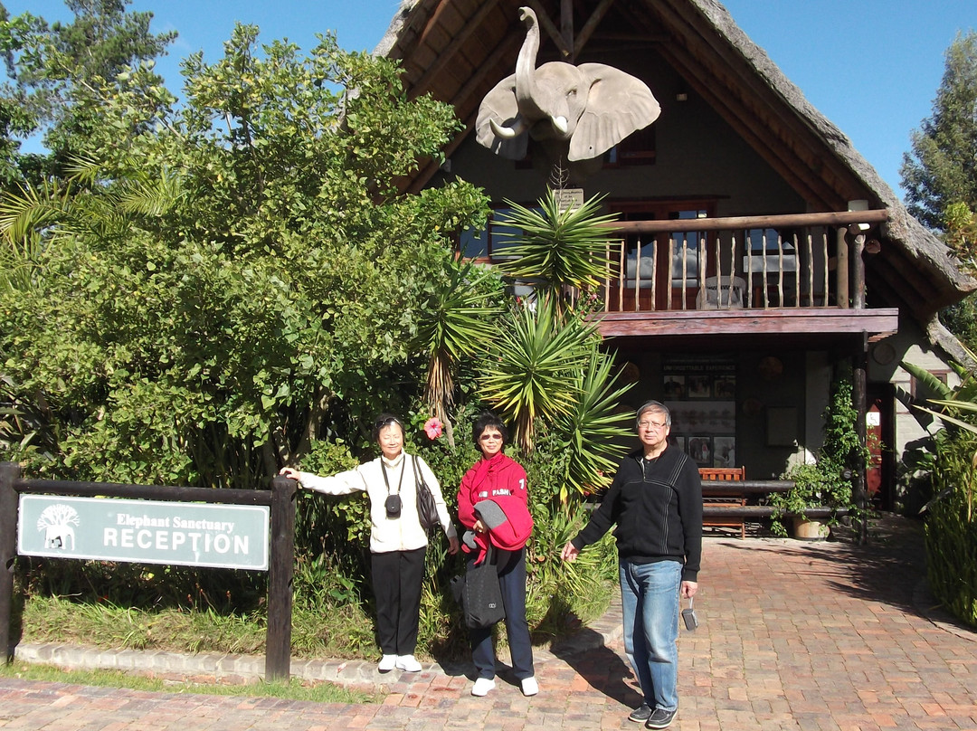 Elephant Walk-克尼斯纳必去景点