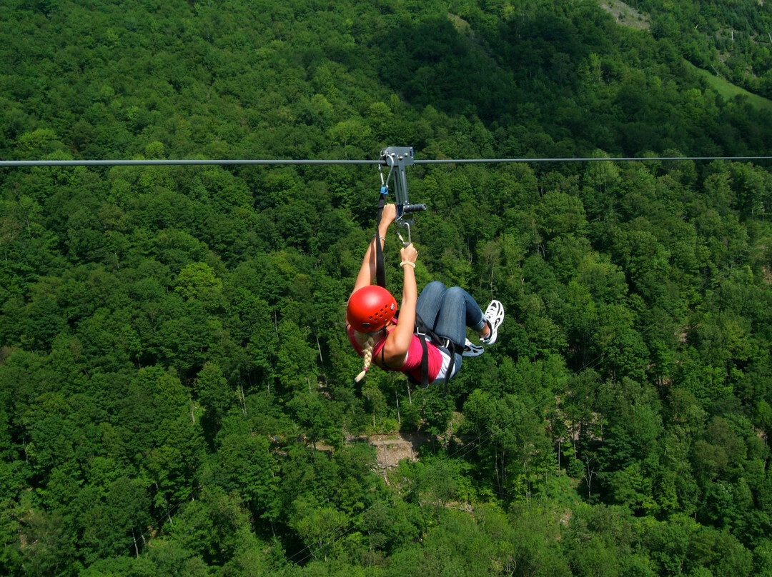 New York Zipline Adventure Tours景点图片